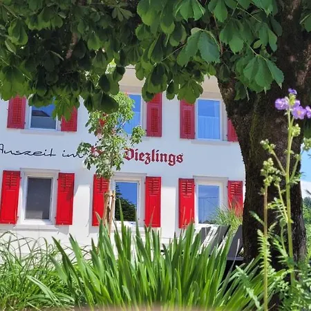 Gasthof - Auszeit Im Bad Diezlings - Adults Only Horbranz Exterior photo
