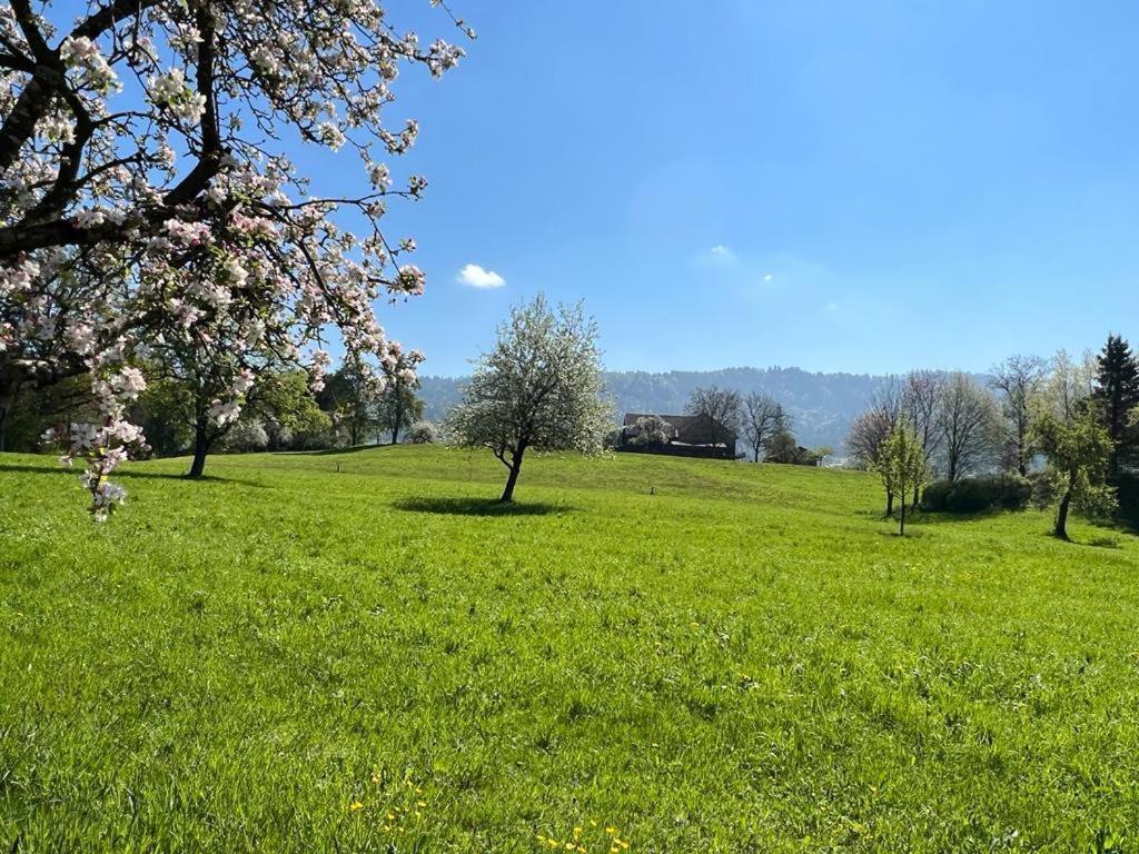 - Auszeit Im Bad Diezlings - Adults Only Apartment Horbranz