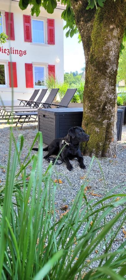 - Auszeit Im Bad Diezlings - Adults Only Apartment Horbranz