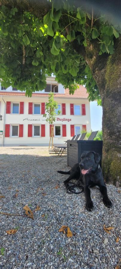 - Auszeit Im Bad Diezlings - Adults Only *